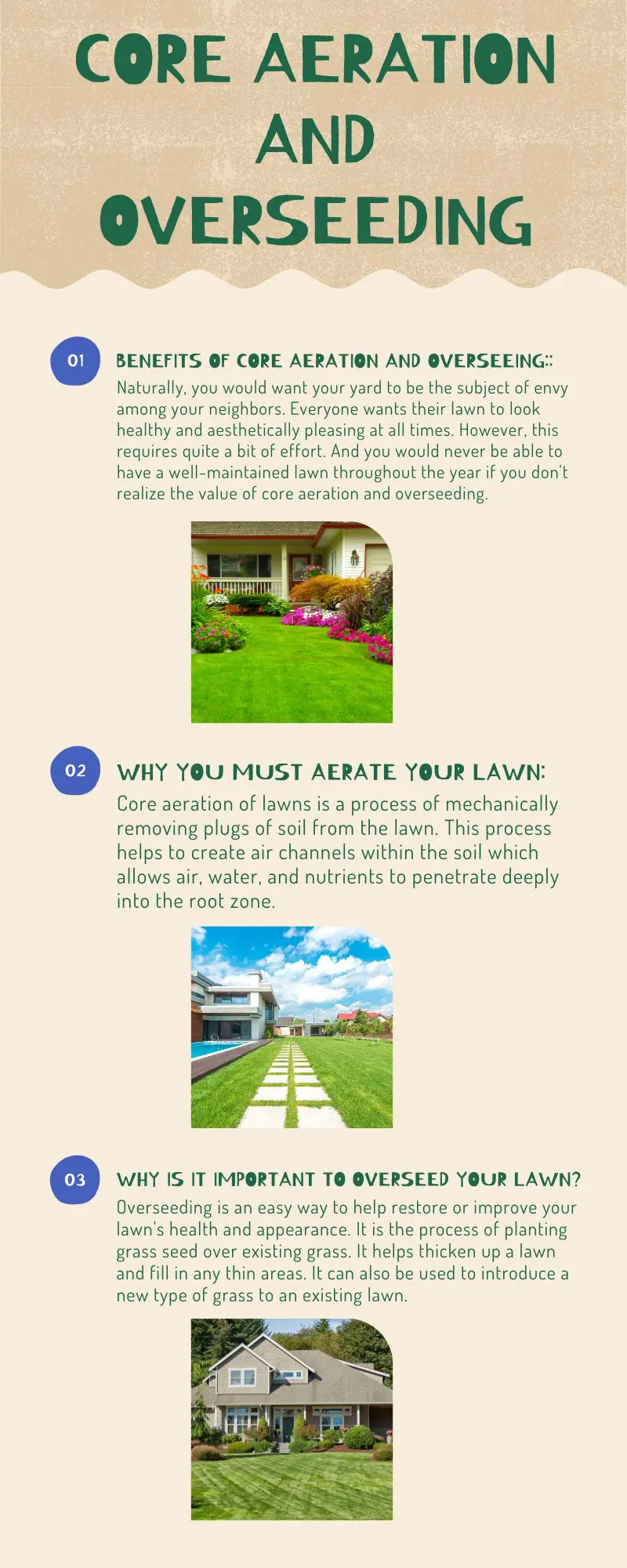 aeration and overseeding