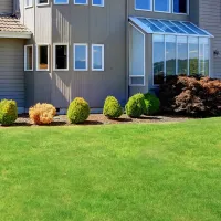 lawn