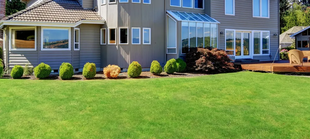 lawn