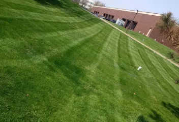 lawn