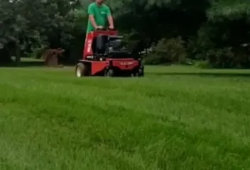 lawn