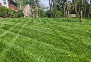 lawn