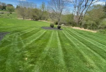 lawn