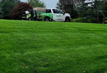 lawn