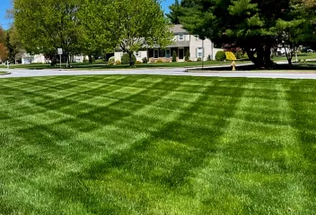 lawn
