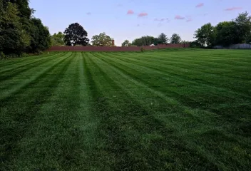 lawn