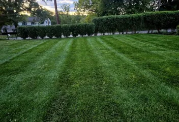 lawn