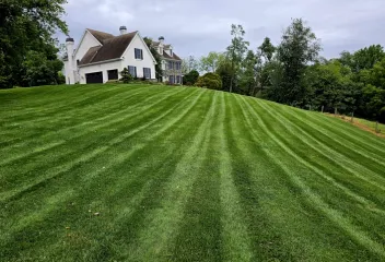 lawn