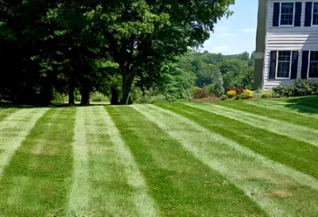 lawn