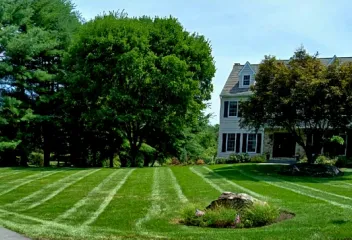 lawn