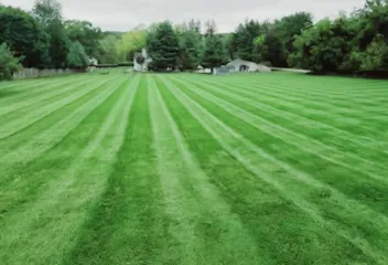 lawn