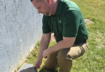 lawn