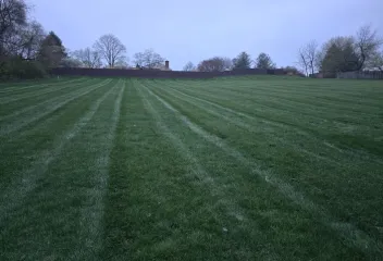 lawn