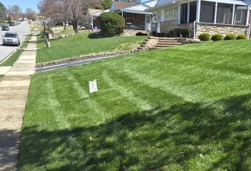 lawn