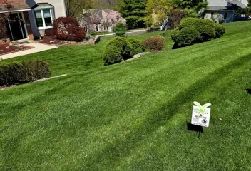 lawn