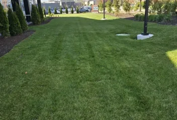 lawn
