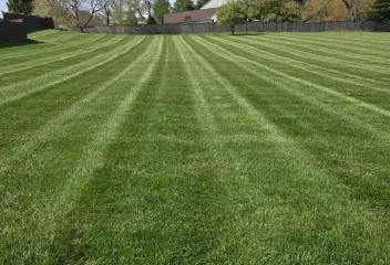 lawn