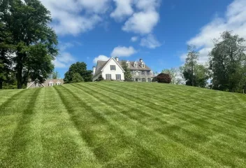 lawn