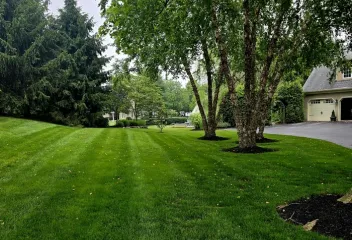 lawn