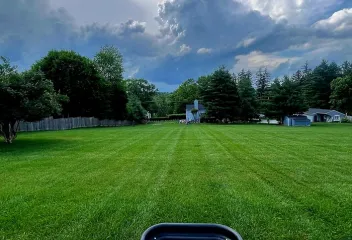 lawn