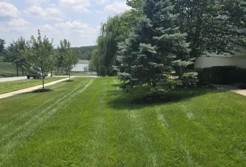 lawn
