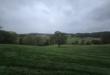 lawn