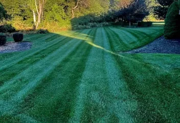 lawn