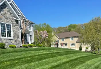 lawn