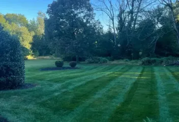 lawn
