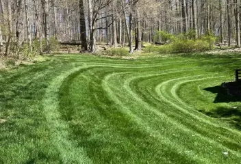lawn