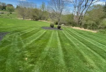 lawn