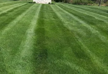 lawn