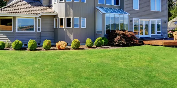 lawn