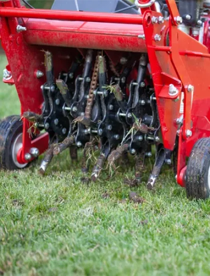 aerating lawn